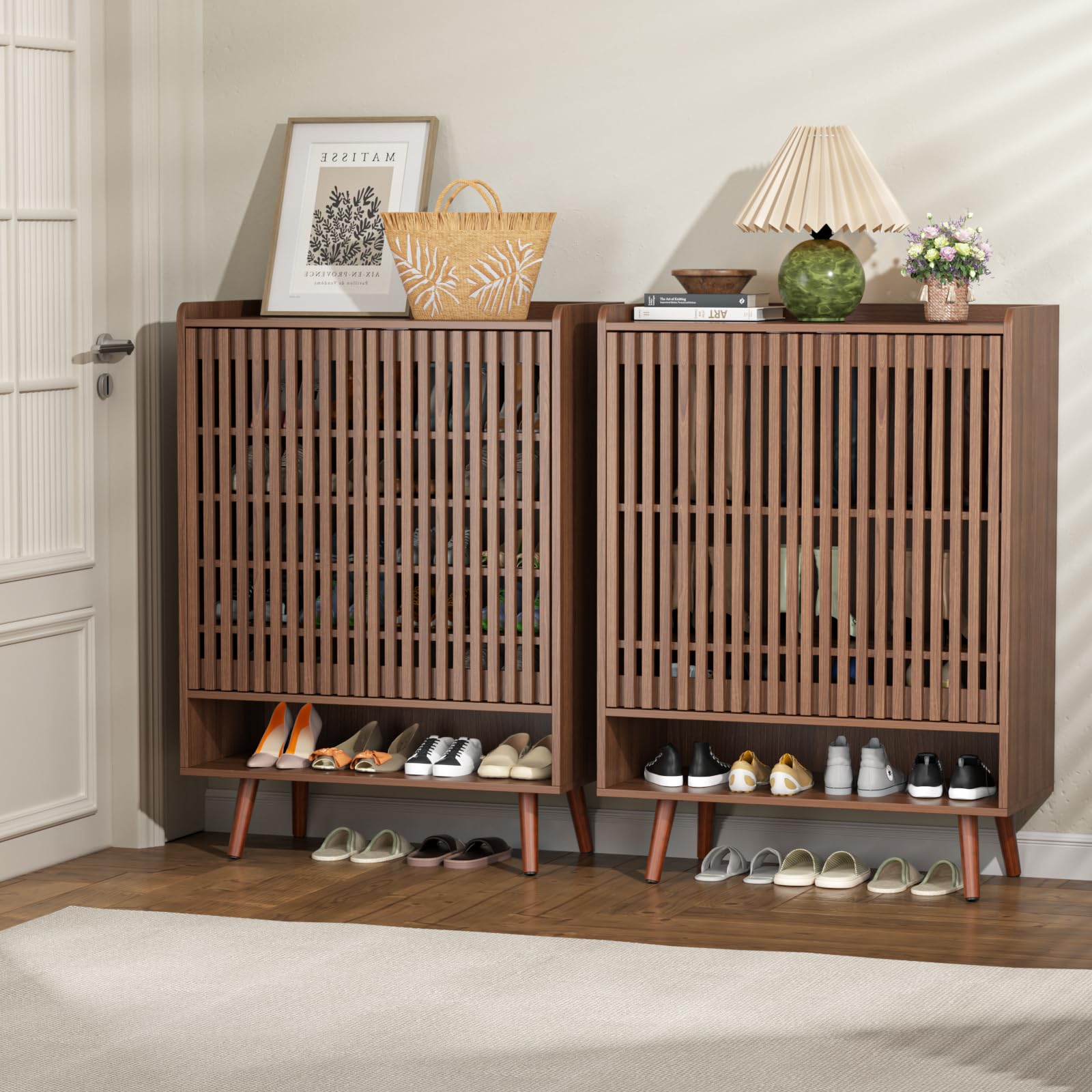 Shoe Storage Cabinet